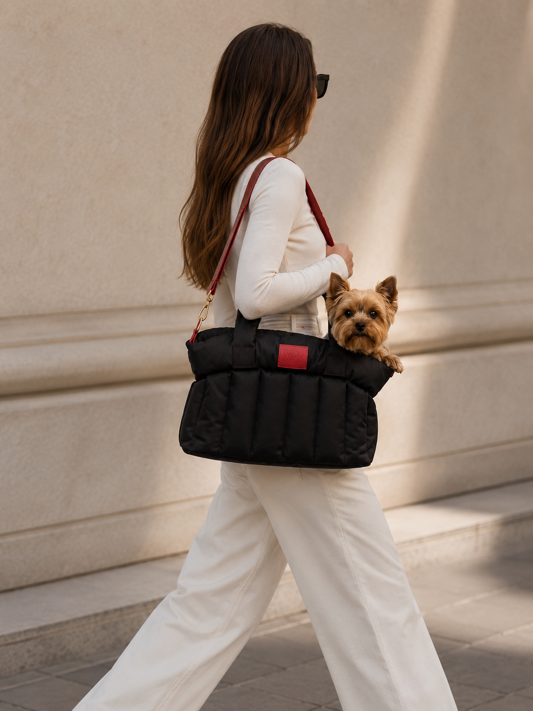 Geantă Neagra Carry On pentru Câini și Pisici - City Walk black