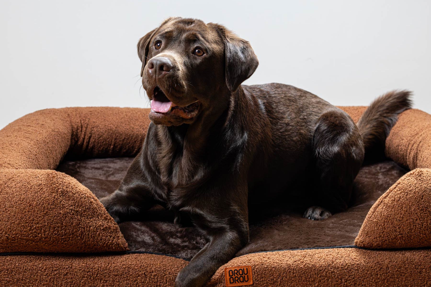 Brown Bed - Brownie BRAUBRAU for Pets (Dogs and Cats)