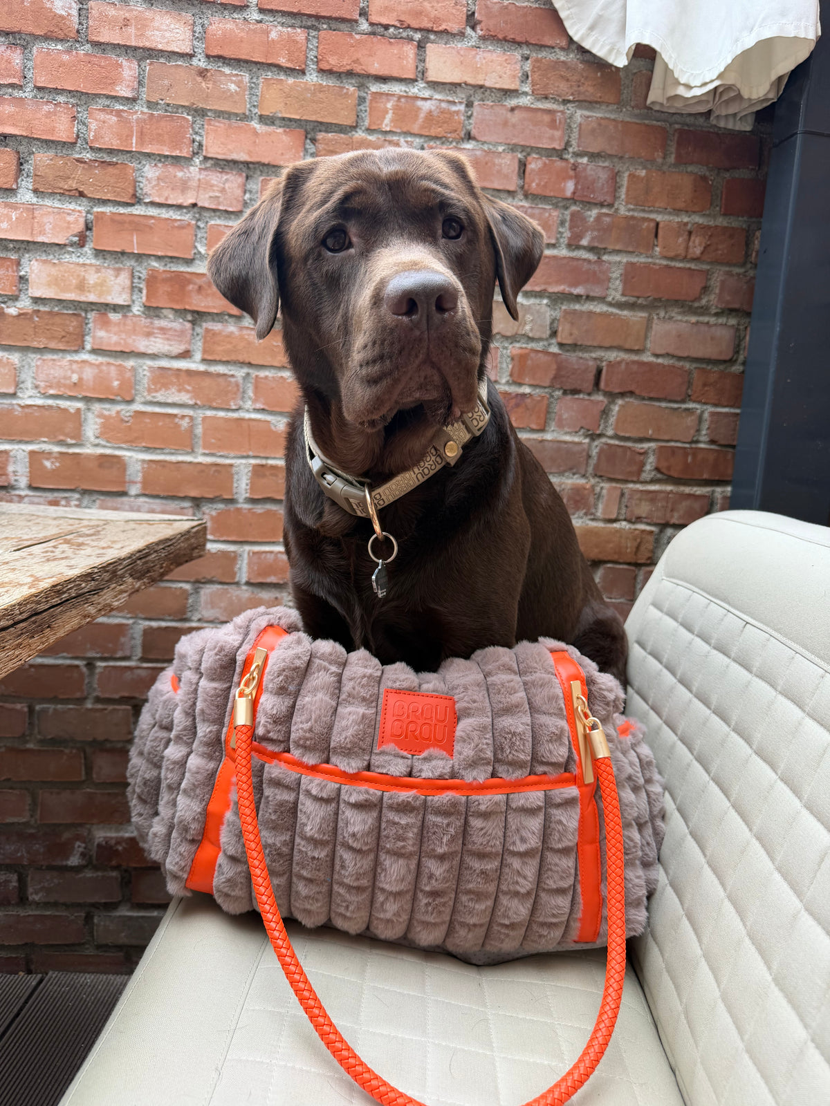 Geantă Pufoasă de Transport pentru Câini și Pisici - Modern Faux Grey & Orange Car Bag