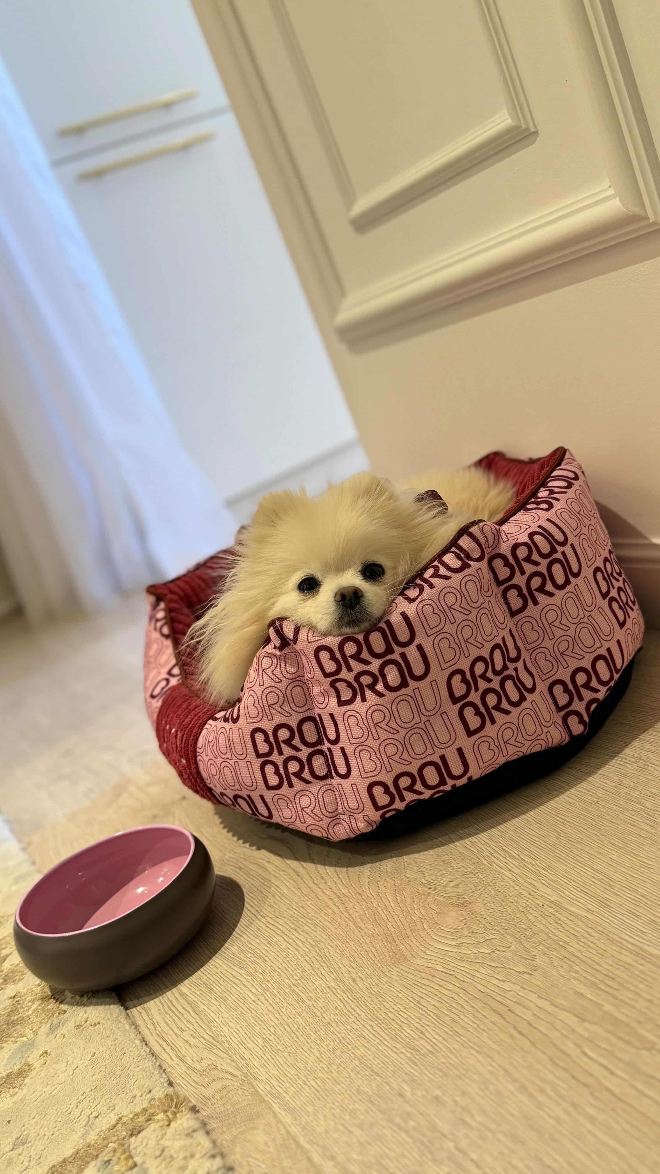 Pătuț BRAUBRAU Signature Round Velvet Pink - Pentru Câini și Pisici