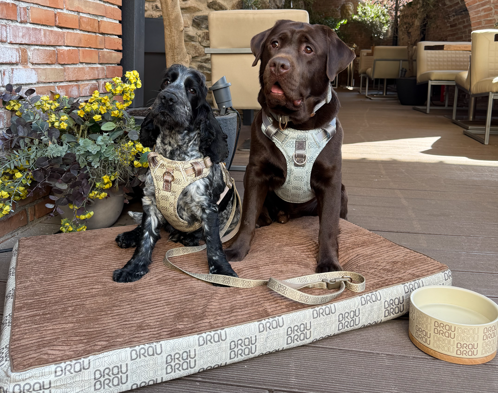 Pătuțuri Signature Collection