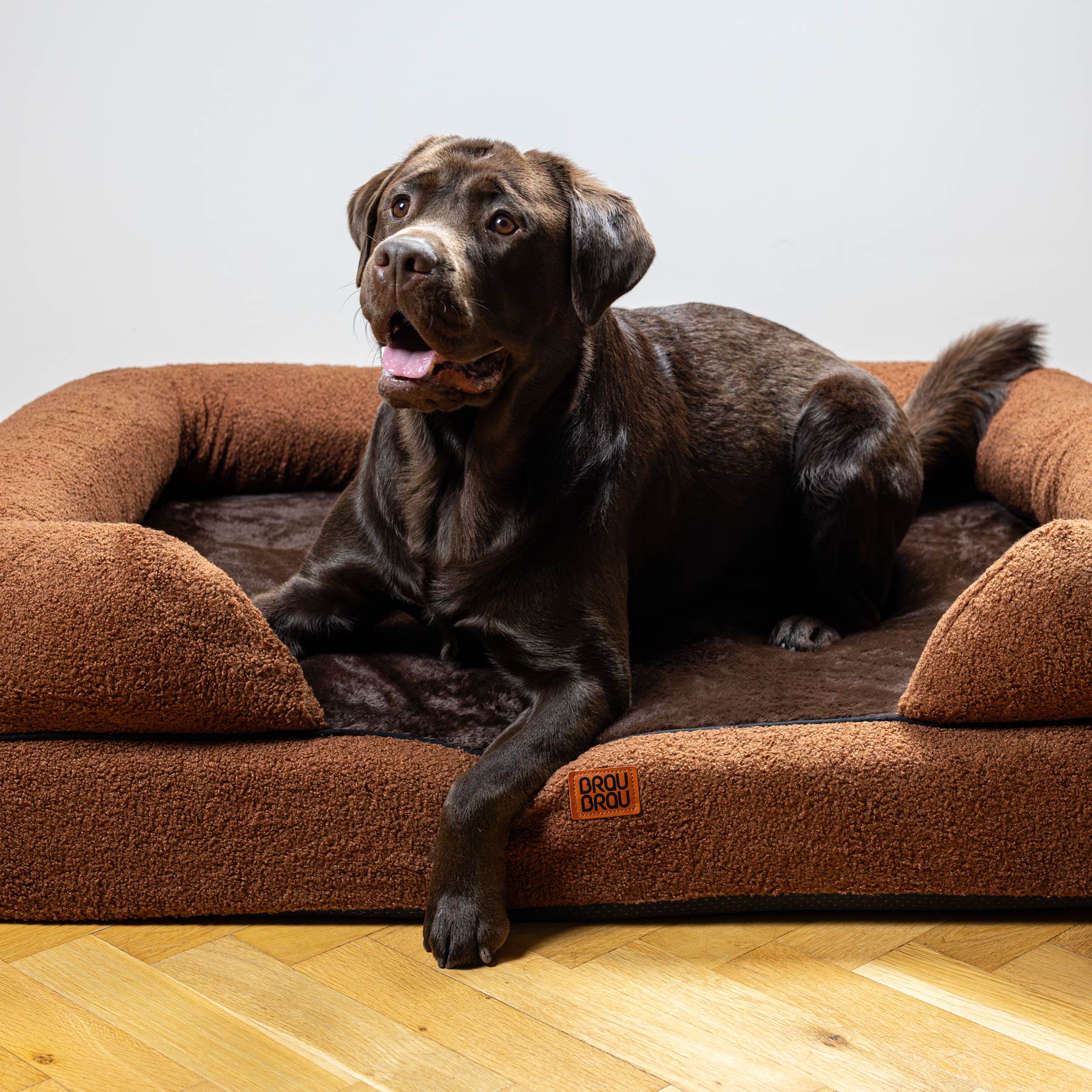 Pătuțuri pentru câini