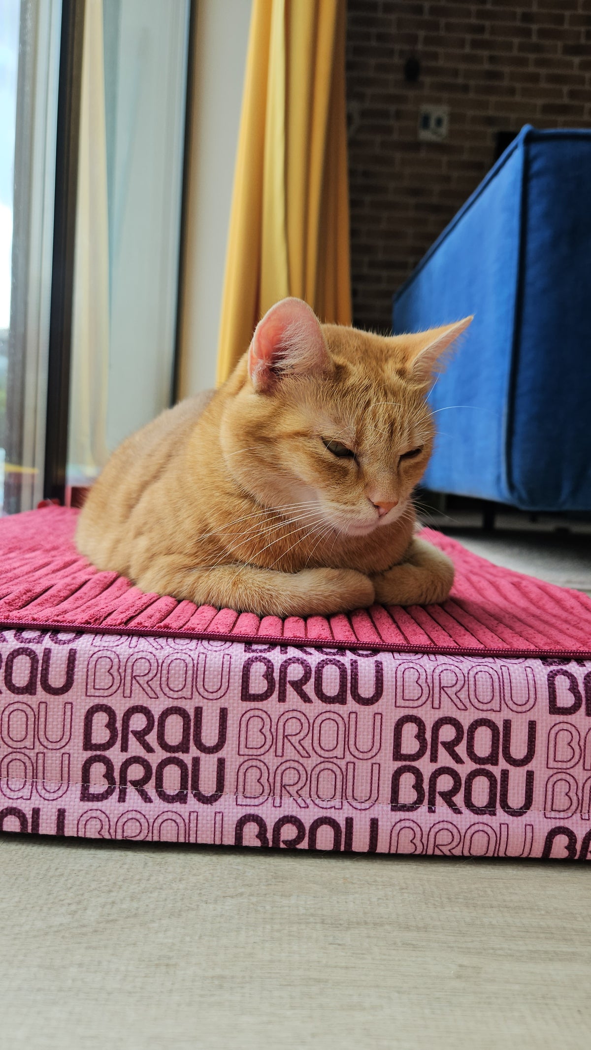 Saltea BRAUBRAU Signature Velvet Pink - Pentru Câini și Pisici