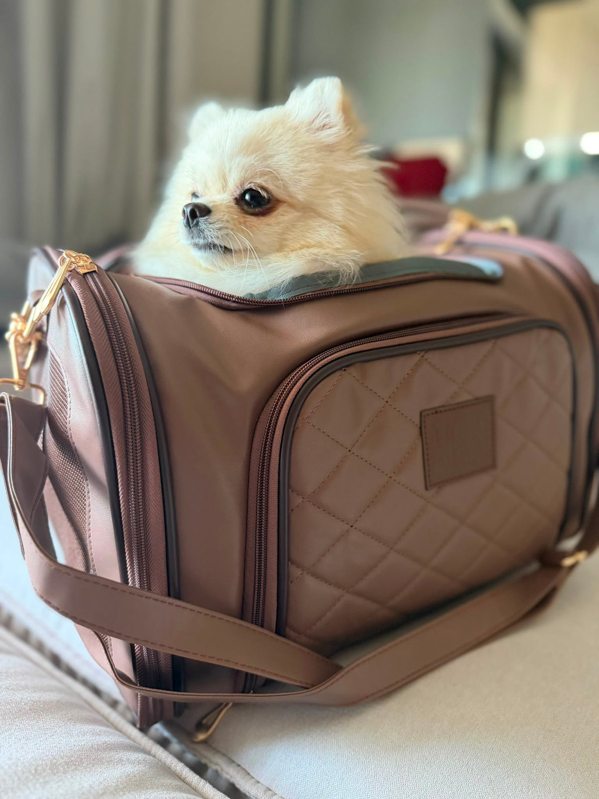 Geantă de Transport Extensibilă cu Roți pentru Câini și Pisici -  Flight Carrier Bag Brown