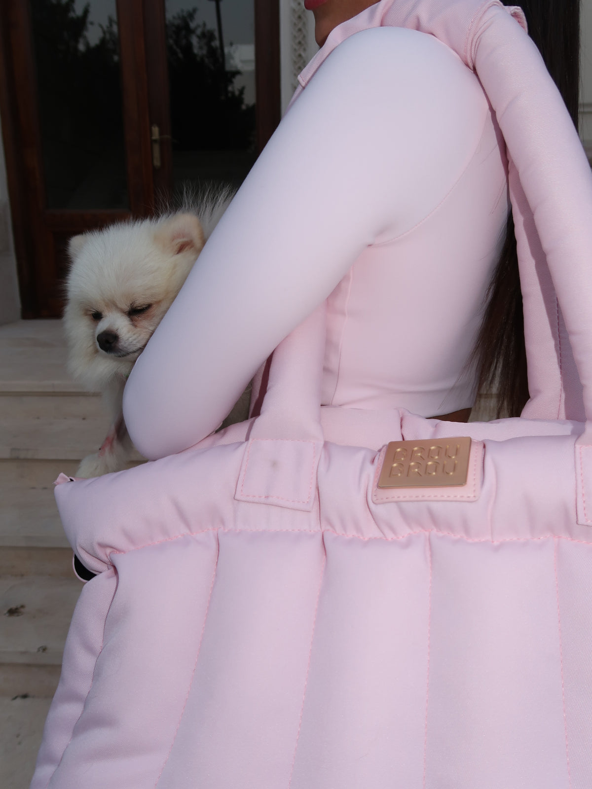 Geanta Roz Carry On Pentru Căței și Pisici - City Walk Pink